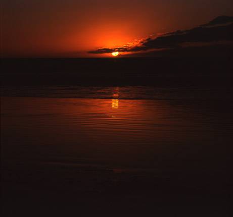 Nissarana Galleries Noosa - Accommodation Mooloolaba 3