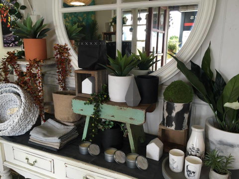 DBar Gallery - Accommodation Mooloolaba 2