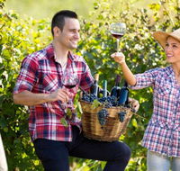 Two Tails Wines - Accommodation Mooloolaba