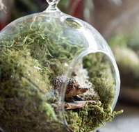 Moxom and Whitney - Accommodation Mooloolaba