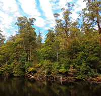A R Reflections River Cruises - Accommodation Mooloolaba