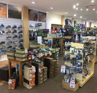 Lone Dingo - Accommodation Mooloolaba