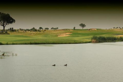 Thorny’s Putt-Putt - Accommodation Mooloolaba 1