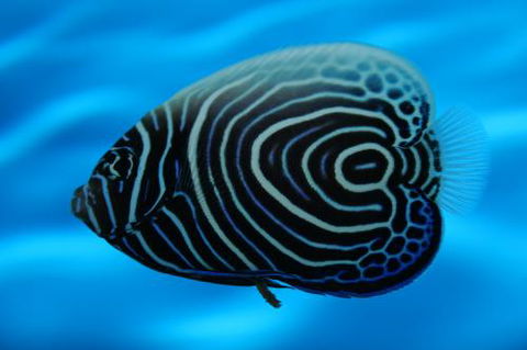 River To Reef Aquarium - Accommodation Mooloolaba 2