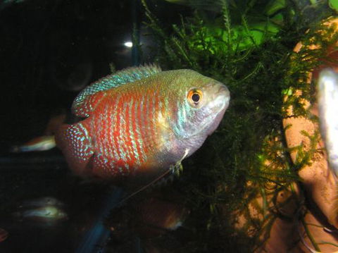River To Reef Aquarium - Accommodation Mooloolaba 4