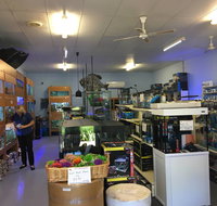 Aquamail - Accommodation Mooloolaba