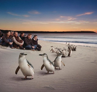 Down Under Thrills - Accommodation Mooloolaba