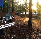 Didgeridoo Jam in the Park - Accommodation Mooloolaba