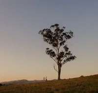 Faulls Ridge Winery - Accommodation Mooloolaba