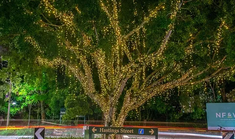 The Sunshine Coast Tour Company - Accommodation Mooloolaba 3