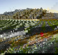 Margaret River Caves Wine and Cape Leeuwin Lighthouse Tour from Perth - Accommodation Mooloolaba