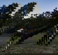 Stargazing Busselton with Mobile Observatory - Accommodation Mooloolaba