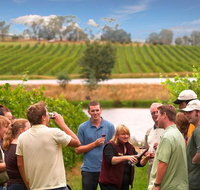 Yarra Valley Wine and Winery Tour from Melbourne - Accommodation Mooloolaba