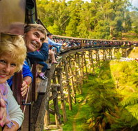 Puffing Billy Steam Train  Healesville Wildlife Sanctuary Tour From Melbourne - Accommodation Mooloolaba
