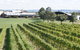 Puffing Billy Train And Yarra Valley Food And Wine Day Trip From Melbourne - thumb 0