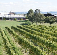 Puffing Billy Train and Yarra Valley Food and Wine Day Trip from Melbourne - Accommodation Mooloolaba