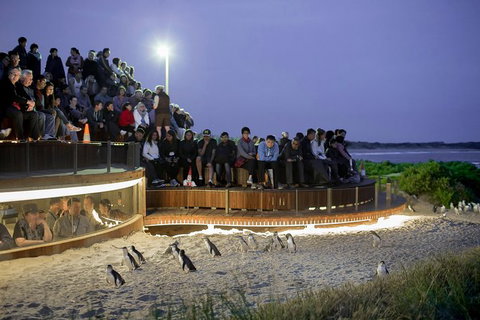 Small-Group Phillip Island Day Trip From Melbourne With Penguin Plus Viewing - Accommodation Mooloolaba 0