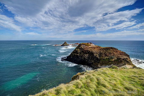 Small-Group Phillip Island Day Trip From Melbourne With Penguin Plus Viewing - Accommodation Mooloolaba 6