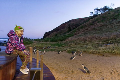Small-Group Phillip Island Day Trip From Melbourne With Penguin Plus Viewing - Accommodation Mooloolaba 14