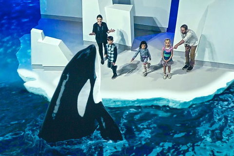 Small-Group Phillip Island Day Trip From Melbourne With Penguin Plus Viewing - Accommodation Mooloolaba 10