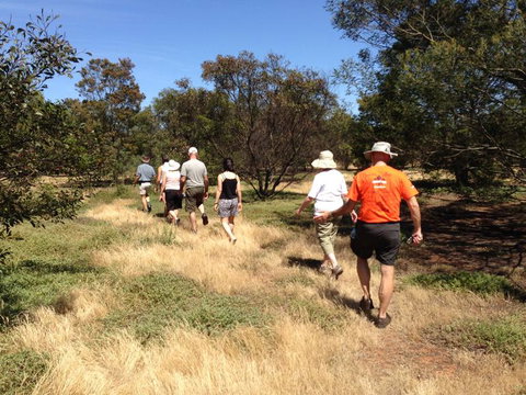 Koalas And Kangaroo In The Wild Tour From Melbourne - Accommodation Mooloolaba 19