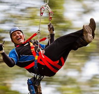 12 Apostles and Otway Fly Zipline Day Trip from Melbourne - Accommodation Mooloolaba