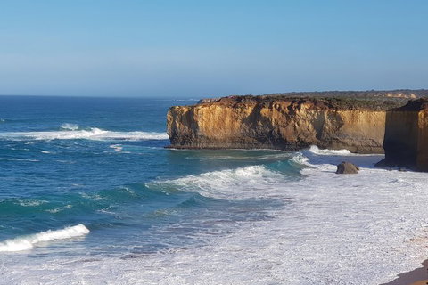 12 Apostles And Otway Fly Zipline Day Trip From Melbourne - Accommodation Mooloolaba 7
