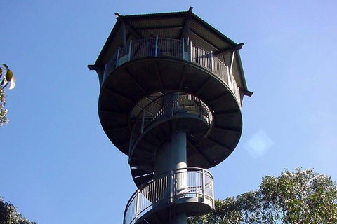 12 Apostles And Otway Fly Zipline Day Trip From Melbourne - Accommodation Mooloolaba 5