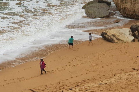 12 Apostles And Otway Fly Zipline Day Trip From Melbourne - Accommodation Mooloolaba 14
