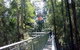 12 Apostles And Otway Fly Zipline Day Trip From Melbourne - thumb 10