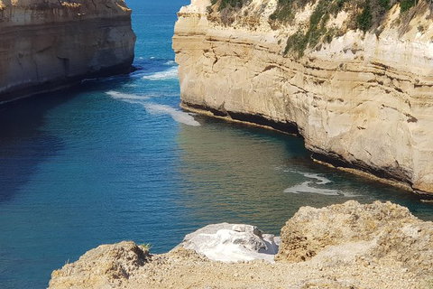 12 Apostles And Otway Fly Zipline Day Trip From Melbourne - Accommodation Mooloolaba 6