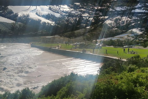 12 Apostles And Otway Fly Zipline Day Trip From Melbourne - Accommodation Mooloolaba 16