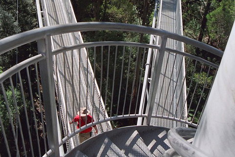 12 Apostles And Otway Fly Zipline Day Trip From Melbourne - Accommodation Mooloolaba 4