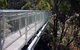 12 Apostles And Otway Fly Zipline Day Trip From Melbourne - thumb 3