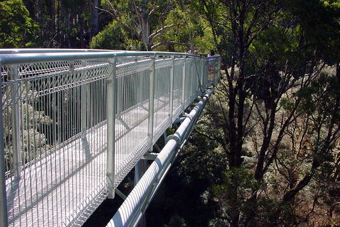 12 Apostles And Otway Fly Zipline Day Trip From Melbourne - Accommodation Mooloolaba 3