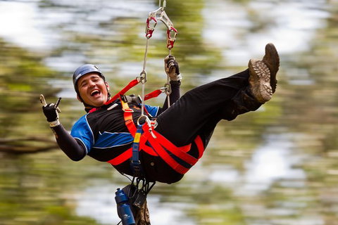 12 Apostles And Otway Fly Zipline Day Trip From Melbourne - Accommodation Mooloolaba 2