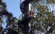 12 Apostles And Otway Fly Zipline Day Trip From Melbourne - thumb 13
