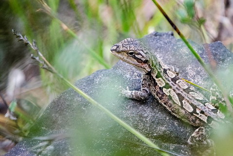 Small-Group Grampians Great Wilderness Escape Day Trip With Hiking - Accommodation Mooloolaba 8