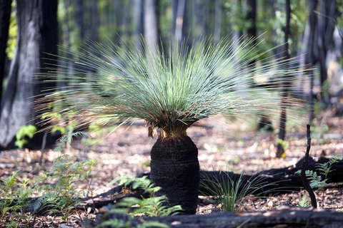 Small-Group Grampians Great Wilderness Escape Day Trip With Hiking - Accommodation Mooloolaba 14