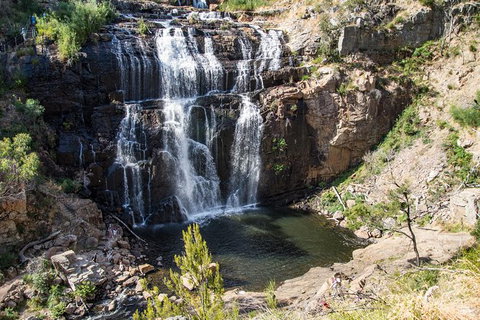 Small-Group Grampians Great Wilderness Escape Day Trip With Hiking - Accommodation Mooloolaba 6