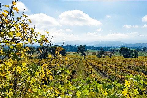 Alternative Yarra Valley Wine Tasting Tour Departing From Melbourne - Accommodation Mooloolaba 4