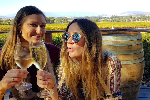 Alternative Yarra Valley Wine Tasting Tour Departing From Melbourne - Accommodation Mooloolaba 5