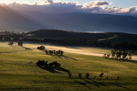 Yarra Valley Balloon Flight At Sunrise - Accommodation Mooloolaba 9