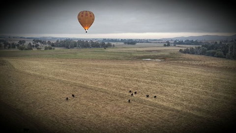 Yarra Valley Balloon Flight At Sunrise - Accommodation Mooloolaba 18