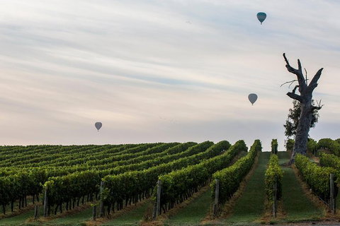 Yarra Valley Balloon Flight At Sunrise - Accommodation Mooloolaba 37