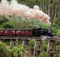 Melbourne Combo Great Ocean Road Puffing Billy Moonlit Sanctuary  Penguins - Accommodation Mooloolaba