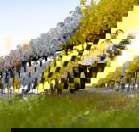 Overnight Daylesford and Macedon Ranges Gourmet Food Trail Tour from Melbourne - Accommodation Mooloolaba