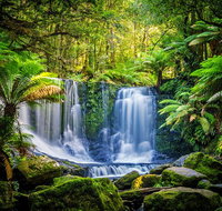 Day Tour in Mt. Field Mt. Wellington Bonorong Wildlife Sanctuary and Richmond - Accommodation Mooloolaba