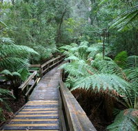 Small-group DayTour from Hobart Hastings Caves Huon Valley and Tahune AirWalk - Accommodation Mooloolaba