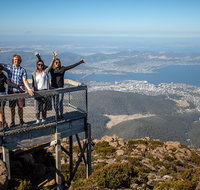 Mt Field National Park Active Day-Trip Including Bonorong and Mt Wellington - Accommodation Mooloolaba